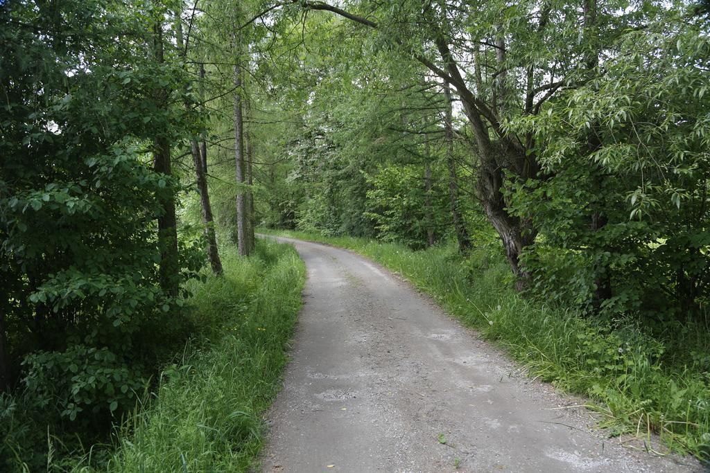 Gospodarstwo Agroturystyczne Stary Mlyn Wilczkowice Michalowice  Exterior foto